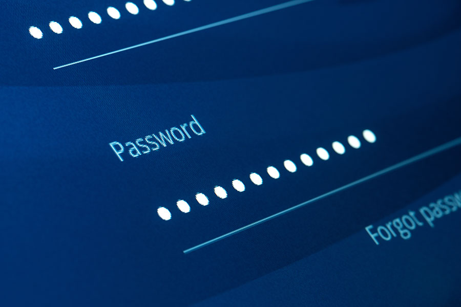 Stock image of a login screen, zoomed in on the Password field.